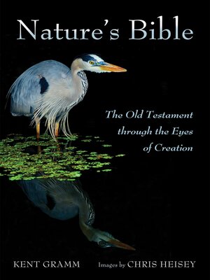 cover image of Nature's Bible